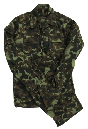 para1s.jpg (3880 bytes)