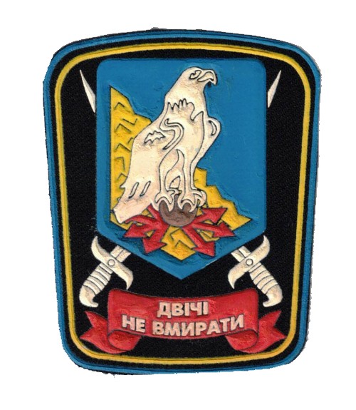 Ukrainian sleeve and breast patches