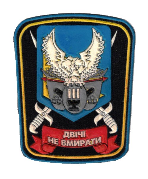Ukrainian sleeve and breast patches